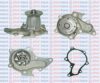 AQUAPLUS 85-4720 Water Pump